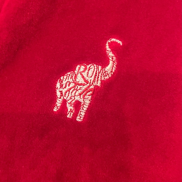University of Alabama L velour hoodie - Picture 3 of 4